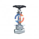 氣動(dòng)閘閥的結(jié)構(gòu)和使用說明是什么？